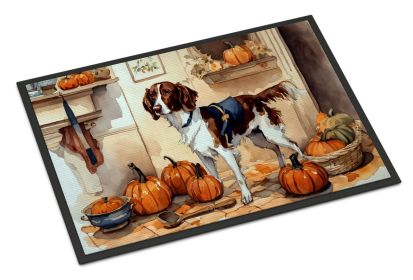 Brittany Fall Kitchen Pumpkins Doormat Front Door Mat Indoor Outdoor Rugs for Entryway, Non Slip Washable Low Pile, 24H X 36W