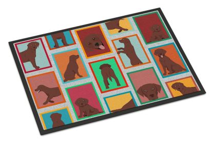 Lots of Chocolate Labrador Retriever Doormat Front Door Mat Indoor Outdoor Rugs for Entryway, Non Slip Washable Low Pile, 24H X 36W