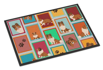 Lots of Sheltie Doormat Front Door Mat Indoor Outdoor Rugs for Entryway, Non Slip Washable Low Pile, 24H X 36W