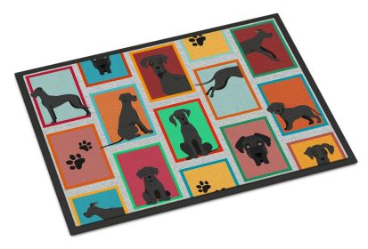 Lots of Black Great Dane Doormat Front Door Mat Indoor Outdoor Rugs for Entryway, Non Slip Washable Low Pile, 24H X 36W