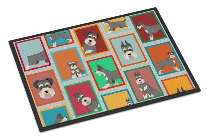 Lots of Schnauzer Doormat Front Door Mat Indoor Outdoor Rugs for Entryway, Non Slip Washable Low Pile, 24H X 36W